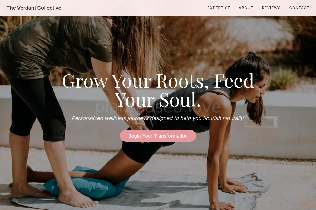 Willow Health Coach