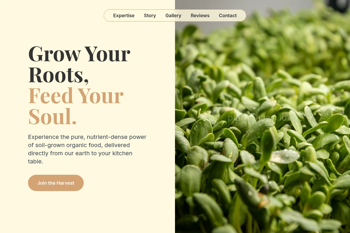 Soil Organic Food