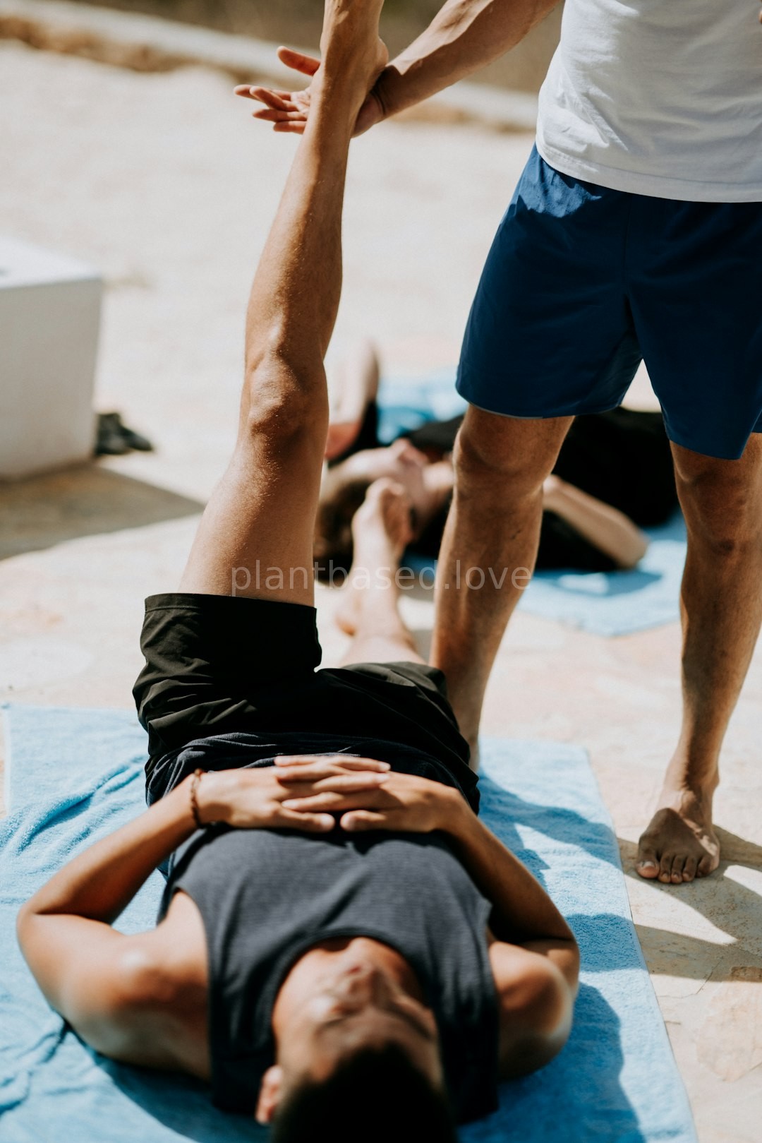 Wellness Lifestyle