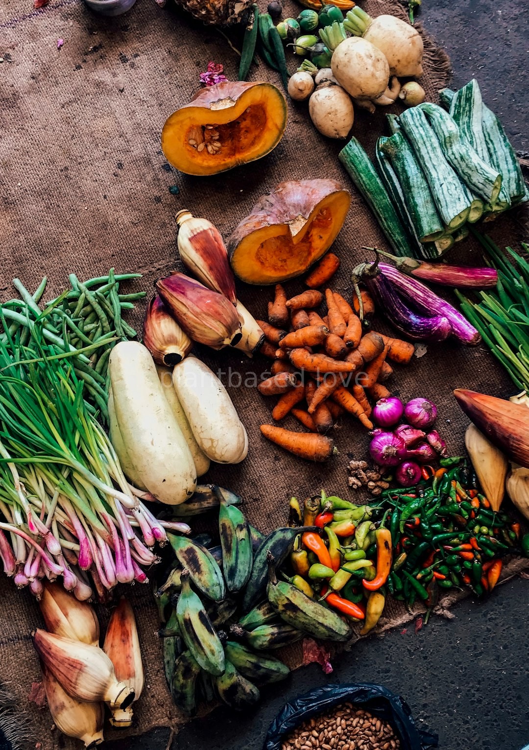 Wellness Kits